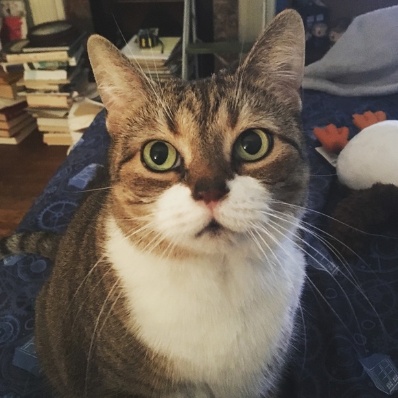 Meet your Posher, Ashlyn - Picture 3 of 10